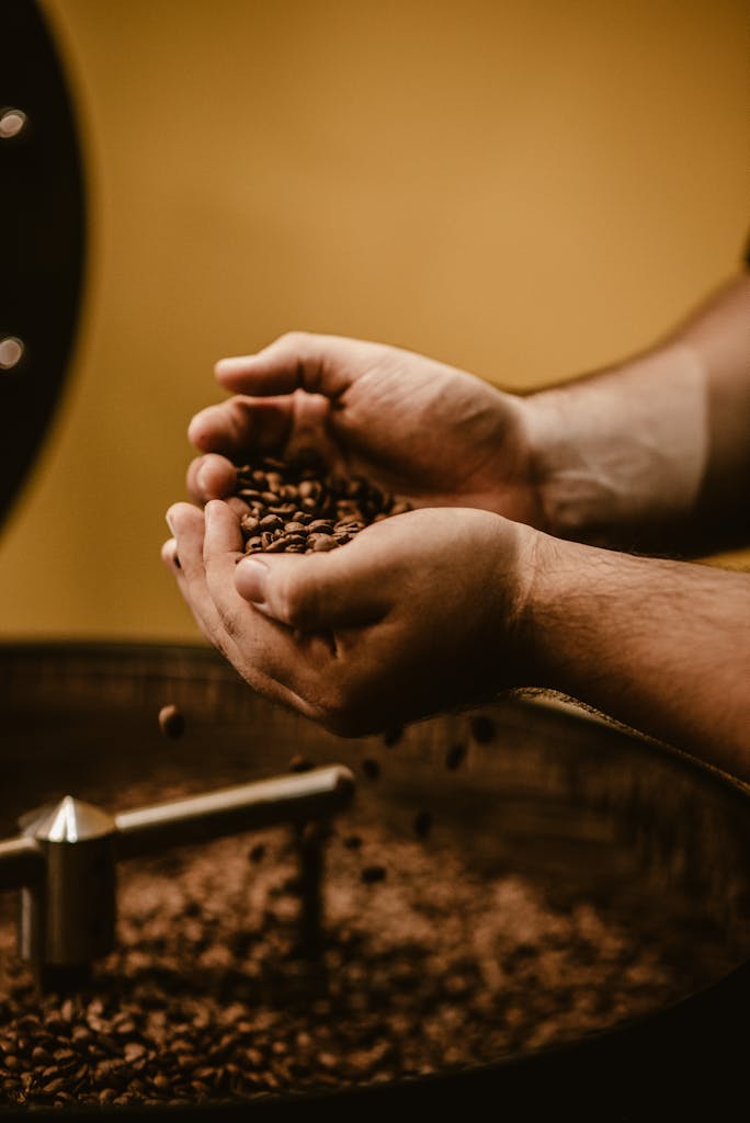 Close-up of hands holding freshly roasted coffee beans with a grinder in the background.